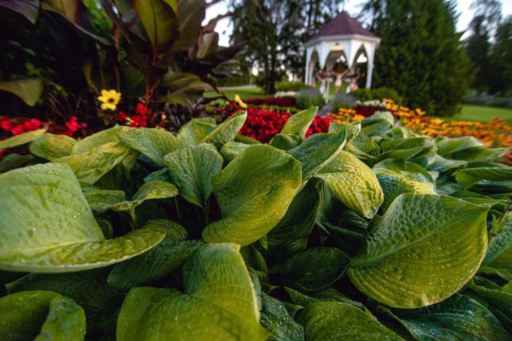 Ermitage Saint-Antoine